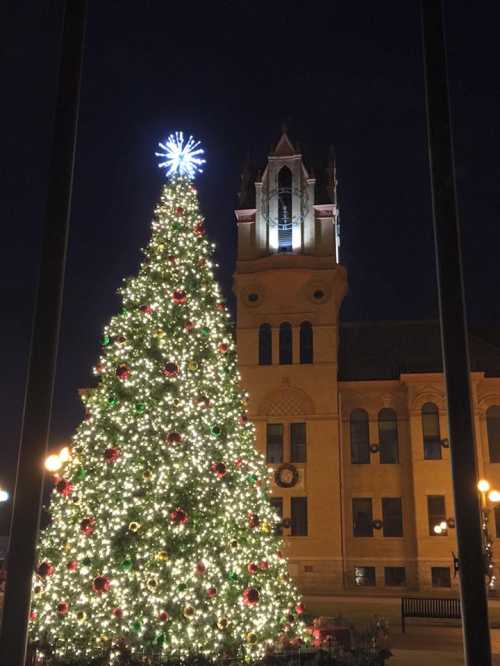 A brightly lit Christmas tree in front of a historic building at night, adorned with festive decorations.