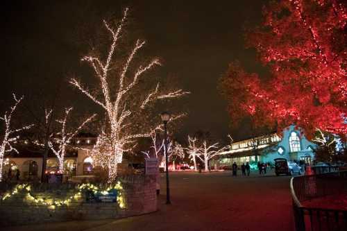 A festive scene at night with trees adorned in colorful lights and a warmly lit building in the background.