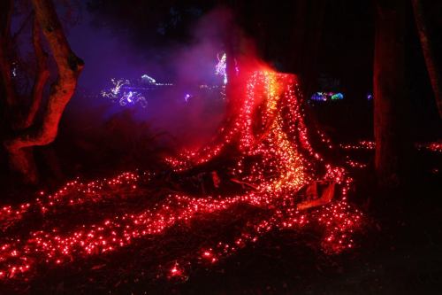 A tree trunk illuminated with red lights, surrounded by a misty, dark forest setting.