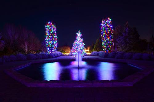 A beautifully lit fountain surrounded by colorful Christmas trees at night, reflecting vibrant lights on the water.
