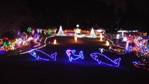 Colorful holiday lights illuminate a park, featuring glowing whales and a decorated tree in the background.