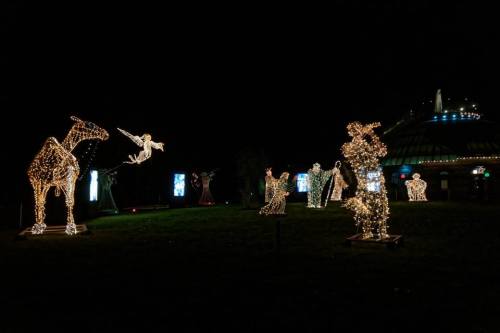 A nighttime scene featuring illuminated figures of animals and people, creating a festive holiday display.