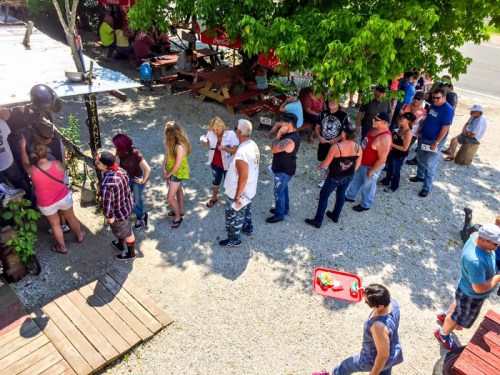 A diverse group of people stands in line outside, surrounded by trees and picnic tables on a sunny day.