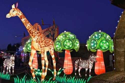 Colorful lanterns depicting a giraffe, zebras, and trees, illuminated against a twilight sky.