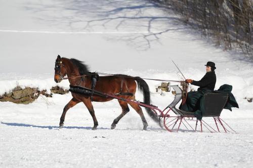 A horse pulls a sleigh through a snowy landscape, with a person in a black hat seated in the sleigh.