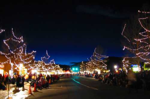 A festive street scene at night, lined with trees adorned with lights and a crowd gathered along the sidewalk.