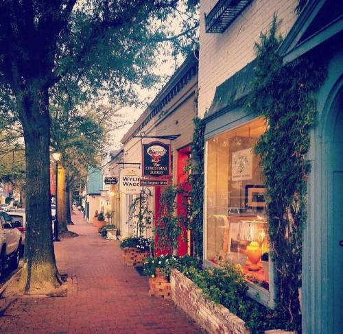 A charming street scene with shops, greenery, and warm lighting in the windows during twilight.