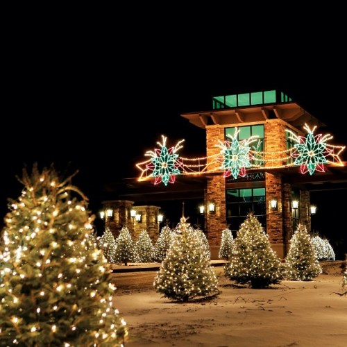A beautifully lit building surrounded by festive Christmas lights and decorated trees at night.