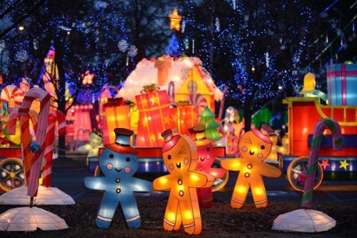 Colorful illuminated gingerbread figures surrounded by festive decorations and lights in a holiday display.