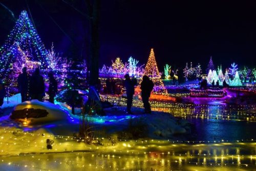 A winter scene with colorful illuminated trees and lights, people enjoying the festive atmosphere at night.