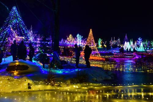 Colorful holiday lights illuminate trees and pathways in a winter landscape, creating a festive nighttime scene.