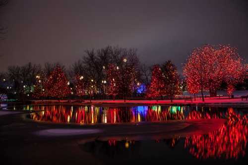 A winter scene featuring trees adorned with red lights, reflecting in a calm body of water under a cloudy sky.