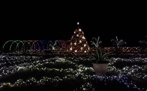 A beautifully lit outdoor scene featuring a decorated Christmas tree and colorful light displays against a dark night sky.