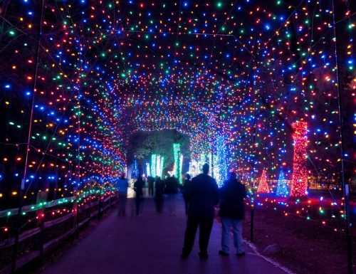 A colorful display of holiday lights creates a vibrant archway, with people walking through the illuminated path.