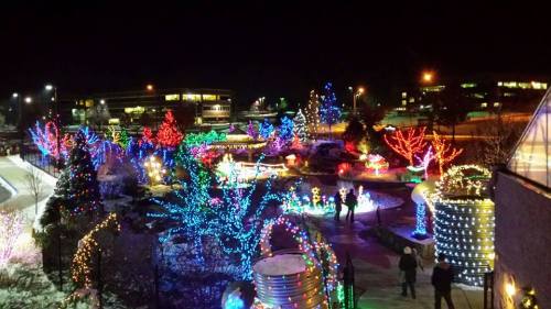 A vibrant display of colorful holiday lights illuminating a garden at night, with people walking through the scene.