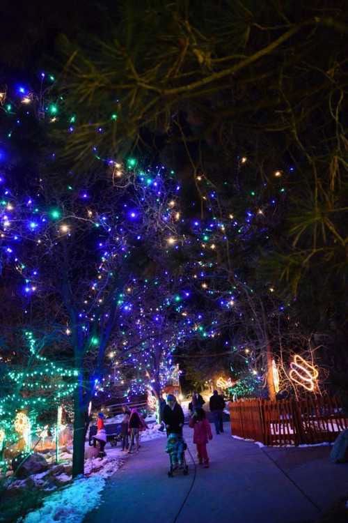 A festive pathway lined with colorful holiday lights and people walking, surrounded by trees and snow.