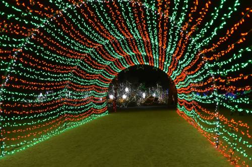 A vibrant archway of red and green lights creates a festive tunnel effect at night.