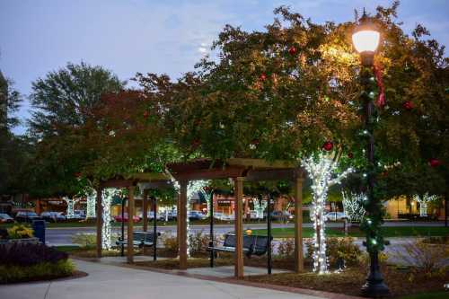 A festive park scene with decorated trees, lights, and benches under a lamppost, creating a cozy holiday atmosphere.