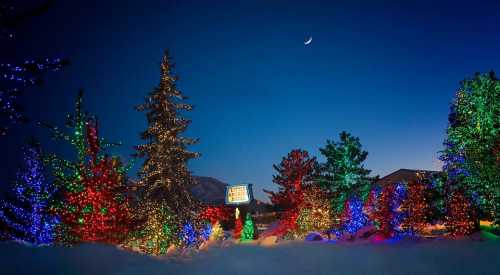 A winter scene with colorful Christmas lights on trees under a twilight sky, with a crescent moon visible.