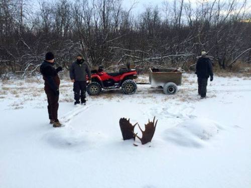 Three people stand in a snowy landscape near an ATV and trailer, with trees in the background and moose antlers in the snow.