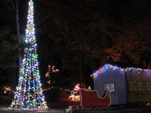 A brightly lit Christmas tree and a decorated sleigh beside a cozy blue cabin at night.