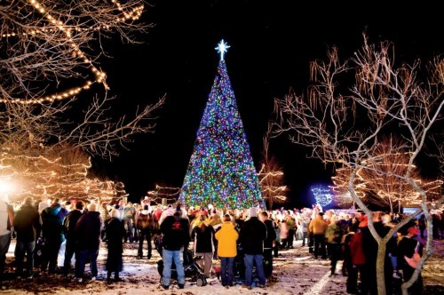 A large, brightly lit Christmas tree stands tall at night, surrounded by a crowd of people and festive lights.