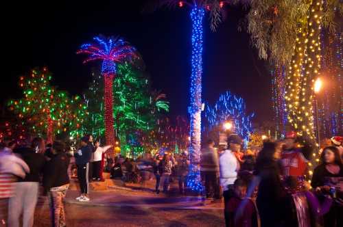 Colorful holiday lights illuminate palm trees and a bustling crowd at night, creating a festive atmosphere.