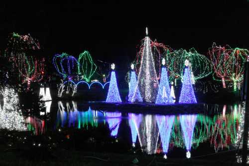 Colorful holiday lights illuminate trees and decorations around a pond at night, creating a festive atmosphere.