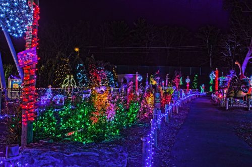 A colorful display of holiday lights illuminating a garden path, surrounded by festive decorations and trees.