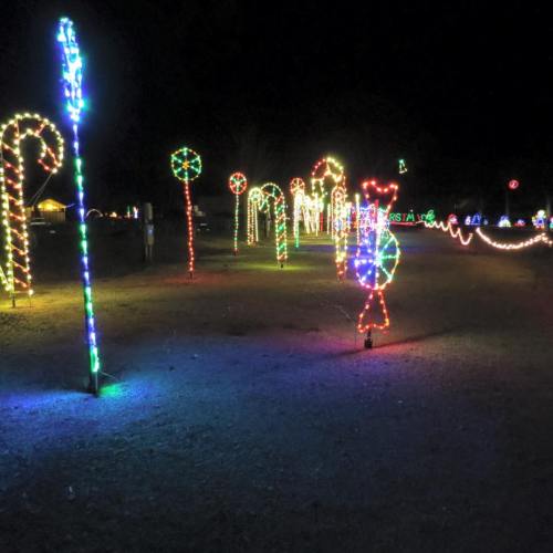Colorful holiday lights shaped like candy canes and lollipops illuminate a dark pathway at night.