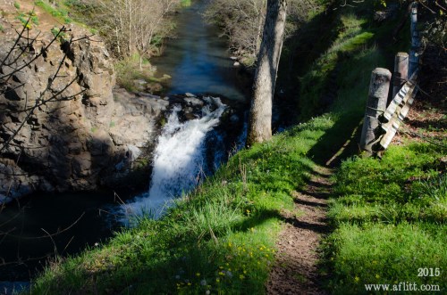 A serene river flows past a small waterfall, surrounded by lush greenery and a dirt path along the bank.