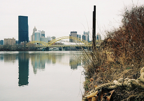 A view of a city skyline with a yellow bridge over a river, framed by overgrown grass and a rope in the foreground.