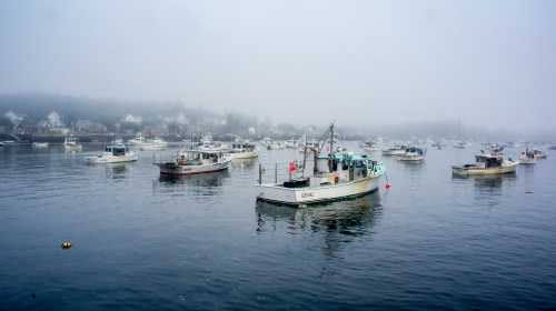 A foggy harbor filled with various fishing boats, surrounded by a misty landscape.