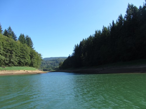 A serene river scene surrounded by lush green trees under a clear blue sky.