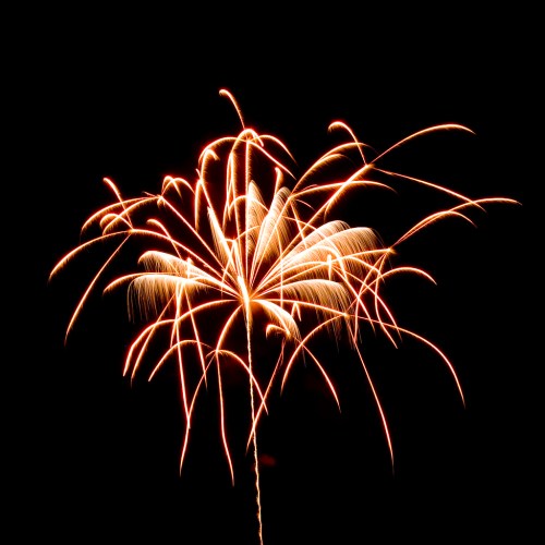A vibrant firework bursts in the night sky, creating a display of golden sparks and trails against a black background.