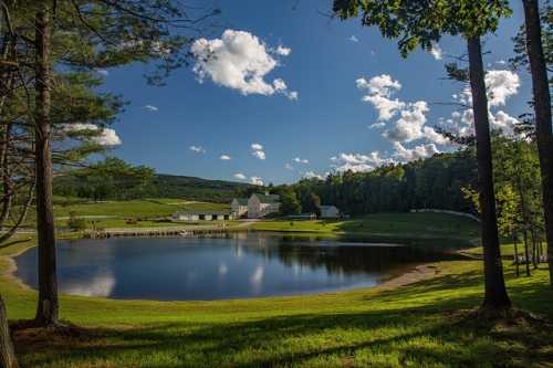 A serene landscape featuring a calm pond, green grass, trees, and a white building under a blue sky with fluffy clouds.