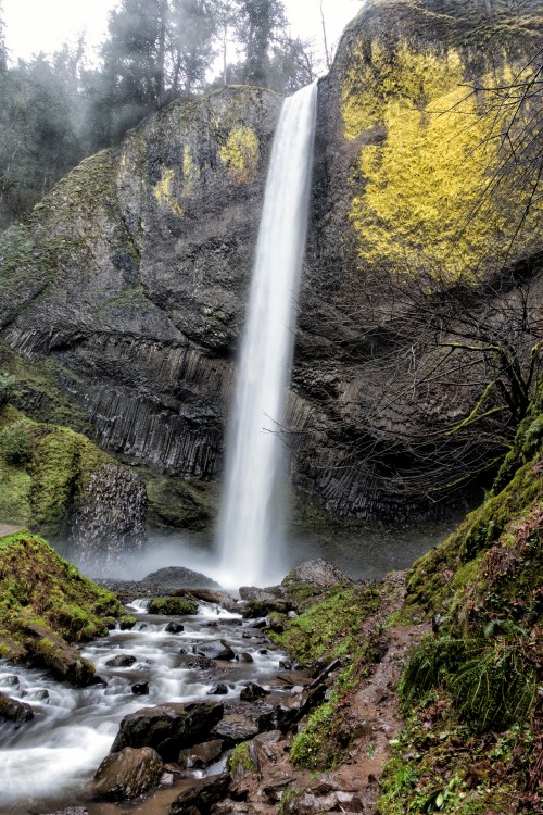 A tall waterfall cascades down a rocky cliff, surrounded by lush greenery and mist, with a stream flowing in the foreground.