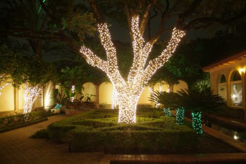 A beautifully lit tree adorned with white lights in a garden at night, surrounded by greenery and softly glowing decorations.