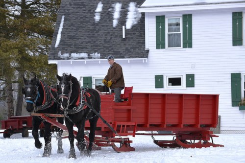 A man drives a horse-drawn sleigh through snow in front of a white house with green shutters.