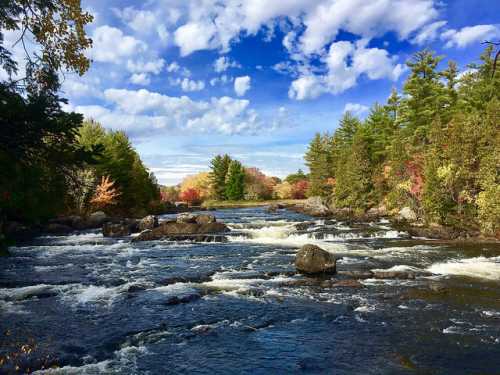 A serene river flows through a forest with colorful autumn trees under a bright blue sky with fluffy clouds.