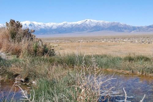 A serene landscape featuring snow-capped mountains in the background, with grassy plains and a small water pool in the foreground.