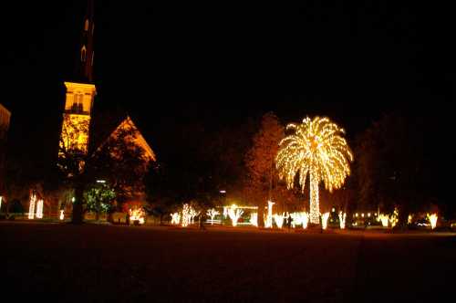 A nighttime scene featuring a church and palm trees adorned with bright holiday lights.