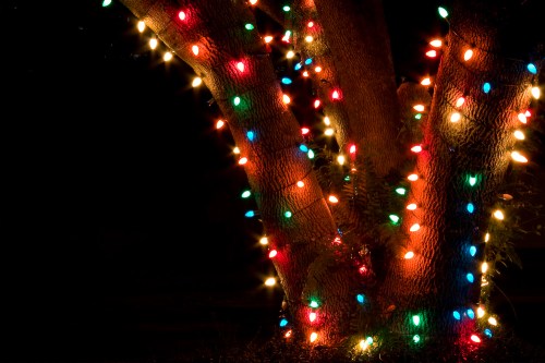 A tree wrapped in colorful holiday lights, glowing against a dark background.