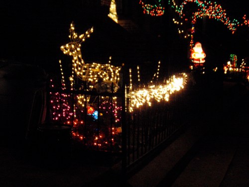A festive display of colorful Christmas lights, featuring a lit reindeer and decorations along a fence at night.