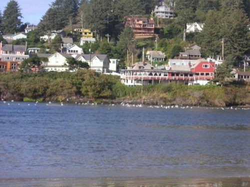 A scenic view of a waterfront with colorful houses and trees on a hillside, alongside a calm body of water.