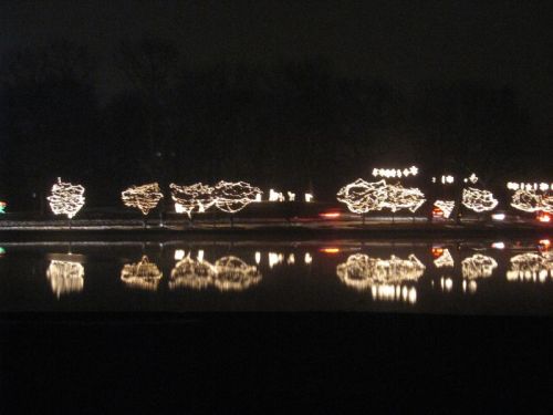 A nighttime scene of trees adorned with lights, reflecting on a calm body of water.