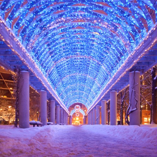A snowy pathway illuminated by vibrant blue lights, creating a magical archway effect in a winter setting.
