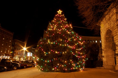 A brightly lit Christmas tree adorned with colorful lights and a star on top, set against a night sky.