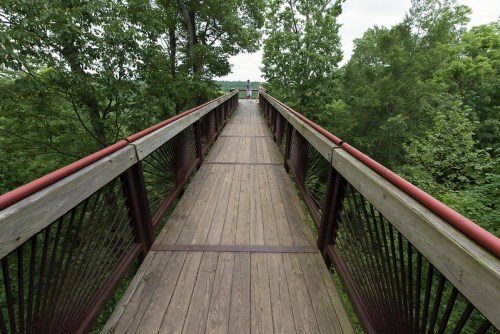A wooden bridge with metal railings surrounded by lush green trees, leading to a viewpoint in the distance.