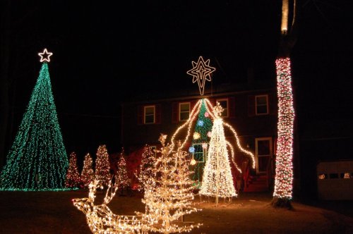A festive display of colorful Christmas lights featuring trees, a star, and a reindeer in a dark night setting.